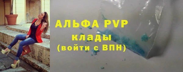 mdpv Бородино