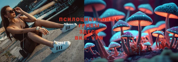 Альфа ПВП Кодинск