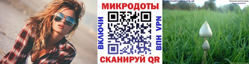 Галлюциногенные грибы прущие грибы  где найти   Малаховка 